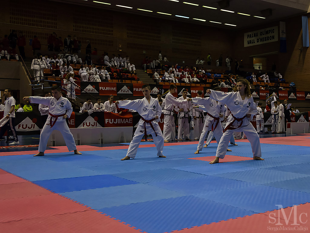 OPEN BARCELONA FUJI MAE CUP 2017_DSC8579_0089.JPG